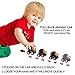 Pull Back Animal Car, Car Toy with Big Tire Wheel(6 Pack) For 3+ Years Old Boys Girls, Monster Vehicle Playset Preschool Learning Birthday, Jungle Themed Party Favors Creative Gifts for Kids Children