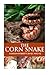 The Corn Snake by Dr. Gordon Roberts BVSc MRCVS