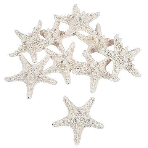 Fun Express Bleached Philippine Starfish Shells – Natural Craft Supplies for Kids DIY Projects Beach-Themed Crafts & VBS Decorations – Perfect for Home Activities Party Favors Scrapbooking – 12 Pieces