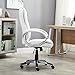 Belleze High-Back PU Leather Executive Office Ergonomic Computer Desk Chair with Padded Arms Chrome Silver, Adjustable Height & 360 Swivel - Stella (White)