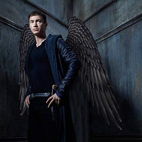 Dermanony Halloween Wings Parties Mardi Gras Cosplay Pretend Play Dress Up Angel Eagle Wings Costume Accessory Wings Black