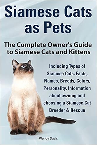 siamese cat breed types