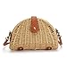Crossbody Straw Bag,Womens Rattan Woven Handbag Straw Shoulder Bag for Beach Travel