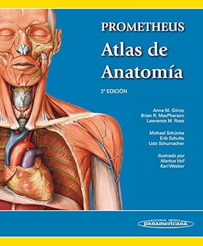 Download Prometheus atlas de anatomía / Atlas of Anatomy PDF