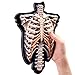 Educational Insights 3-D Magnetic Demonstration Skeleton