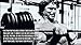 bribase shop Arnold Schwarzenegger Poster 43 inch x 24 inch / 24 inch x 13 inch