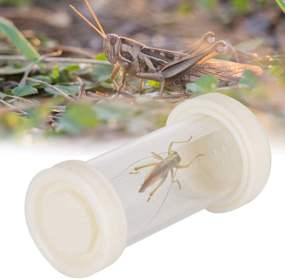 Amazon 丸い餌箱 通気性の良い昆虫餌箱爬虫類繁殖箱 爬虫類のトカゲヤモリ餌爬虫類 White Sugoyi 餌入れ ボウル 通販