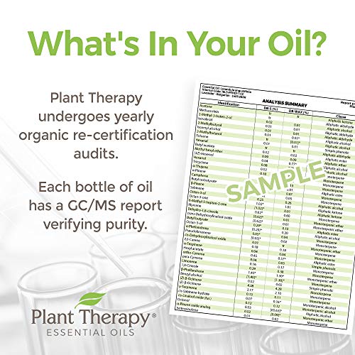 Plant Therapy Organic Fighter Essential Oil Blend 100% Pure, Undiluted, Therapeutic Grade 10 mL (1/3 oz)