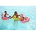 SunnyLife Women's Inflatable Flamingo Drink Holder, Pink, One Size