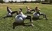CalCore Fitness Brand Professional Physio Ball Chair for Office and Home