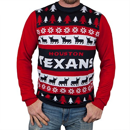 NFL Houston Texans Wordmark