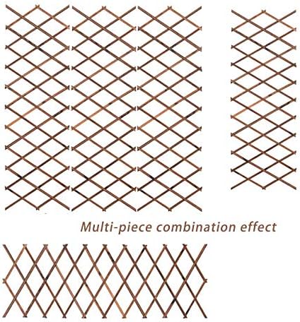 Enredaderas trepadoras de Plantas expandibles