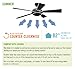 Hunter 20434 The Beacon Hill Three-Light 42-Inch Five-Blade Ceiling Fan, Bright Brass with Clear Globes