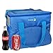 20L Portable Foldable Insulated Cooler Bag Lunch Box Picnic Organizer Box with Strong Travel Zipper for Picnics Camping Beach BBQ By Aohayo