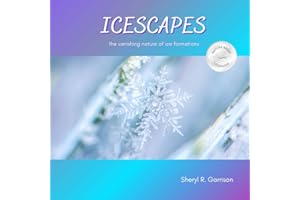 ICESCAPES: the vanishing nature of ice formations