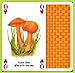 The Famous Mushrooms Playing Cards