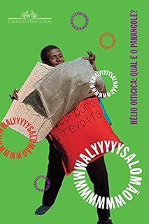 Livro Hélio Oiticica: Qual é o parangolé? – E outros escritos