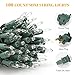 ON'H Christmas Lights 100-Count Clear Mini String Lights Set Indoor Outdoor Lighting for Christmas Tree Party Wedding Home Bedroom Grapevine Decoration 100 Bulbs Green Wire