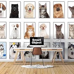 Wall Murals for Bedroom Beautiful Pictures Collection Removable Wallpaper Peel and Stick Wall Stickers - 66x96 inches