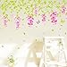 Kappier Pink Wisteria Flower Vines and Butterflies Removable Wall Decal