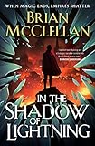 In the Shadow of Lightning