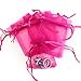 Bezall 100Pcs Organza Bags 4x6 Inch, Hot Pink Small Jewelry Bag Drawstring Mesh Gift Bags Wedding Party Favor Christmas Candy Pouches