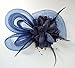 Women's Fascinators Hat Small Hairpin Feather Mesh Flower Hairclip (Navy Blue)