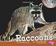 Exploring the World of Raccoons: Tracy Read: 9781554076178: Amazon.com ...