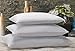 Marriott Down Alternative Eco Pillow - Eco-Friendly Pillow with 100% Recycled Fill - Queen (20