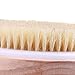 Dry Brushing Body Brush Natural Bristle - Improve Blood Circulation, Lymphatic Drainage - Help Shed Dead Skin, Encourage New Cell Renewal for Smoother Brighter Skin and Reduce Pesky Ingrown Hairs