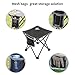 Small Folding Camping Stool Lightweight Chairs Portable Seat for Adults Fishing Hiking Gardening and Beach with Carry Bag