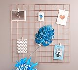 Hosal Rose Gold Grid Panel,Wall Decor/ Photo Wall/ Wall Art Display/ Organizer, Size:23.6