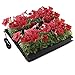 Apollo Horticulture 20