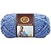 Lion Brand Yarn 135-211 Hometown Yarn, Jersey Gardens (1 Skein)