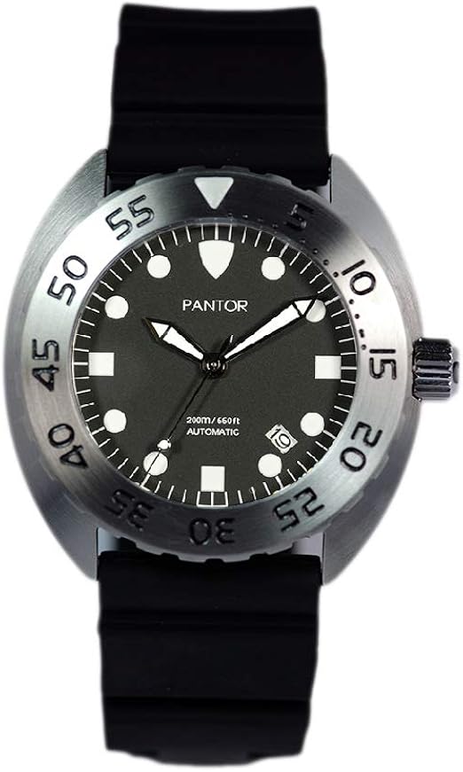 pantor nautilus