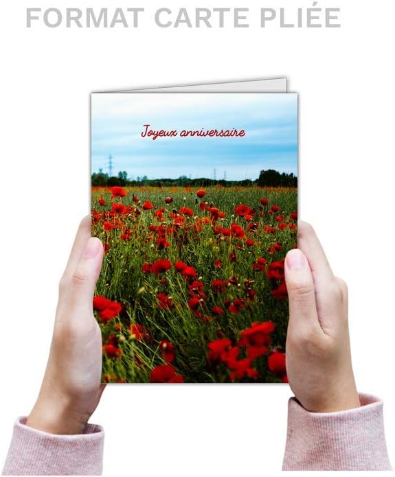 Carte Joyeux Anniversaire Coquelicots 8 Cartes Postales 3 Formats Dispos Carte Joyeux Anniversaire Et Coquelicots Papeterie Fournitures De Bureau Inzaboton Com