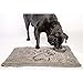 Dog Gone Smart Dirty Dog Doormat - Fast Drying Rug with Super Gripper Backing for Clean Floors - Super Absorbent Microfiber and Machine Washable Mat for Muddy Paws - Maroon