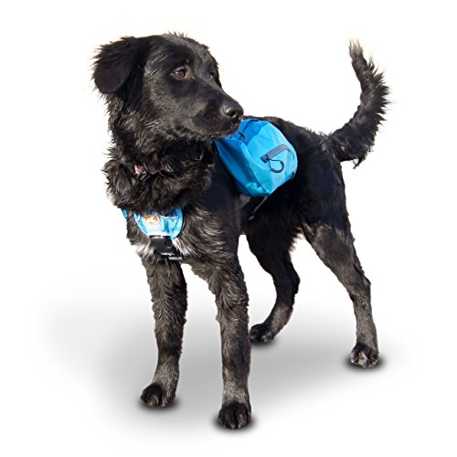 Kurgo Baxter (TM) Dog Backpack for Hiking, Walking or Camping, Coastal Blue