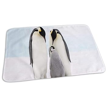 penguin changing mat