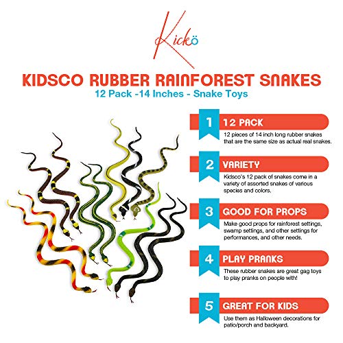 5 Kidsco+Rubber+Rainforest+Snakes+Decorations