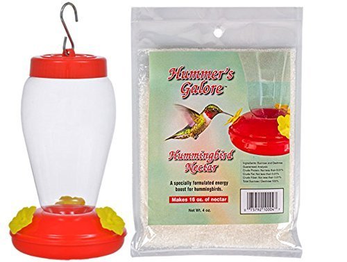 Spring Garden Garden flag decor Collection Hanging Hummingbird Bird Feeder Food for outside - 6.75 Inches 1 FEEDER & NECTAR BUNDLE