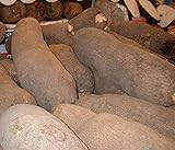 African Tuber of Yam