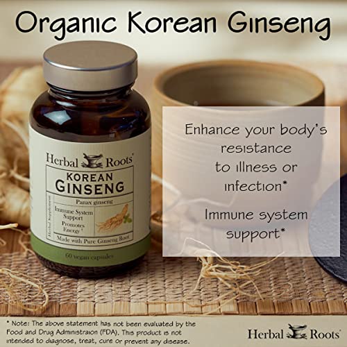 Herbal Roots Panax Ginseng Organic Korean Ginseng Root Powder