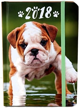 2018 Week at Glance Hard Cover Pocket Calendar Planner A6 (Puppy)