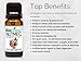 BioFinest Nutmeg Oil - 100% Pure Nutmeg Essential Oil - Relieve Muscle Pain, Swelling, Inflammation - Premium Quality - Therapeutic Grade - Best For Aromatherapy - FREE E-Book (10ml)