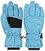 Livingston Women's Thinsulate Insulation Sports Waterproof Ski/Snowboarding Gloves