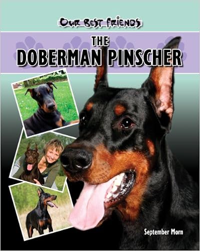 The Doberman Pinscher (Our Best Friends)  �n�[�h�J�o�[ - 2007/2/28