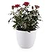 T4U 6 Inch Plastic Self Watering Planter with Water Level Indicator White Set of 4, Modern Decorative Planter Pot for All House Plants, Flowers, Herbs, African Violets, Succulents