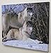 BANBERRY DESIGNS Wolf Canvas - LED Canvas Print with 2 Wolves in a Snowy Winter Forest Scene - Winter Scene with Wolves Picture - 16x12 Inch