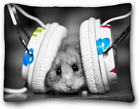 Decorative Standard Pillow Case Animals funny music fan s music little hamster 20"*26" One Side